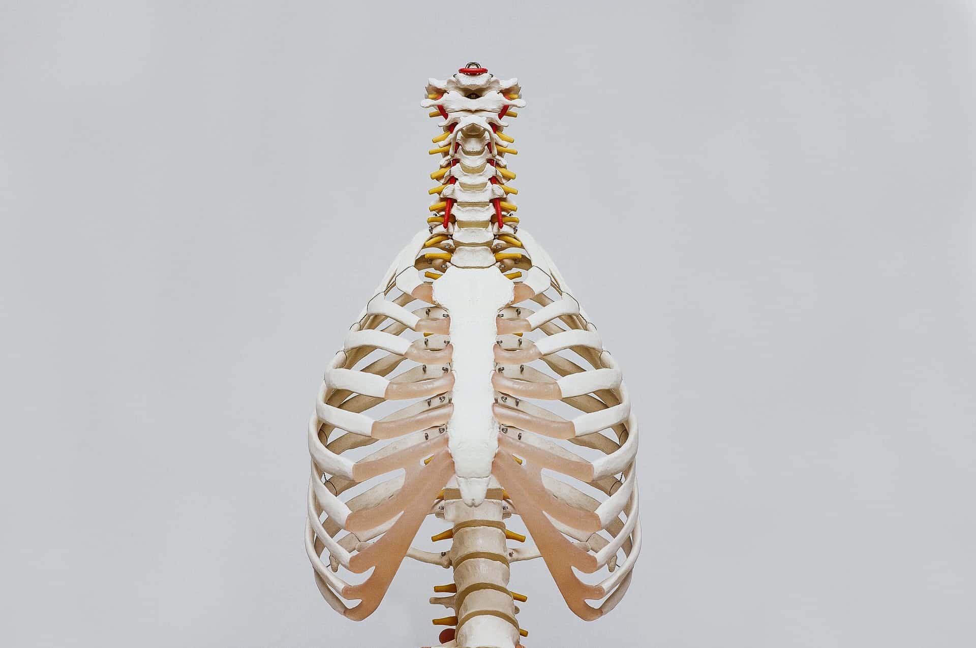 Chiro original background image