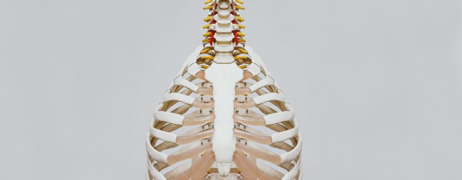 regular chiropractic care for healthy spine